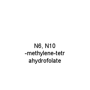 N6, N10-methylene-tetrahydrofolate